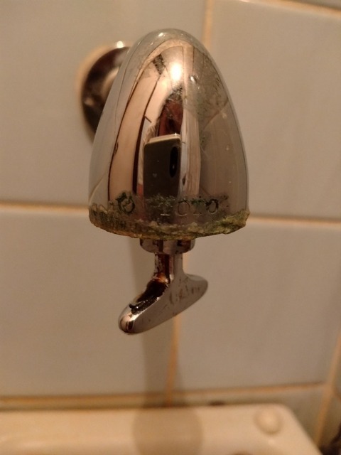 DSC_0001.jpg
