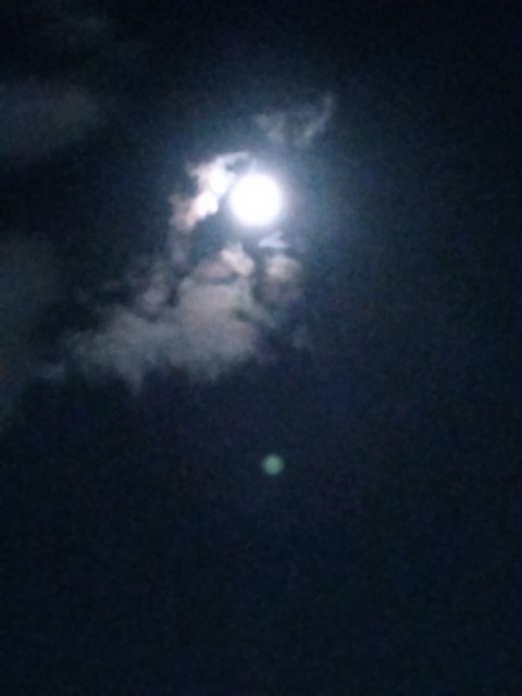 DSC_0016.jpg
